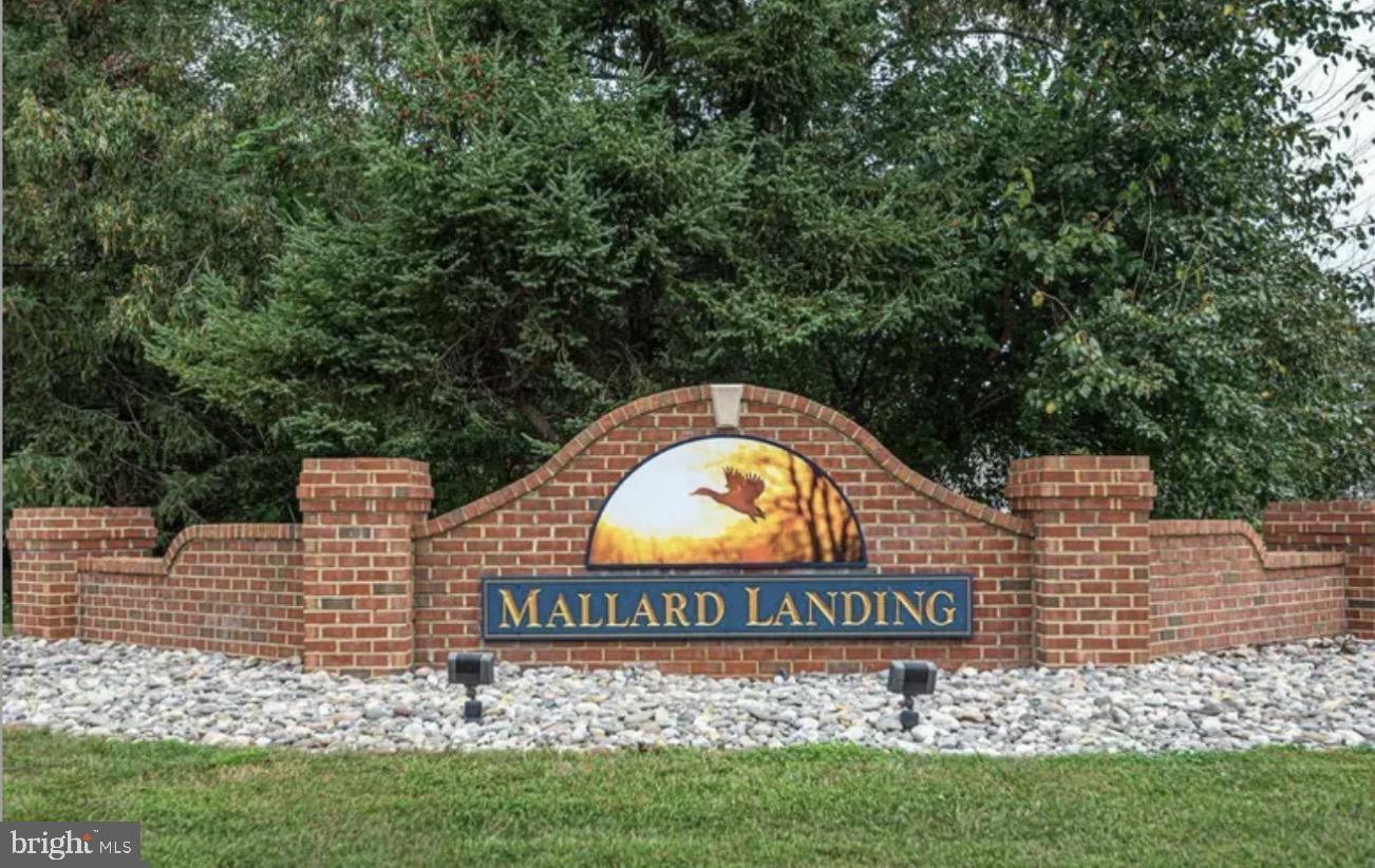 MALLARD LANDING - Residential