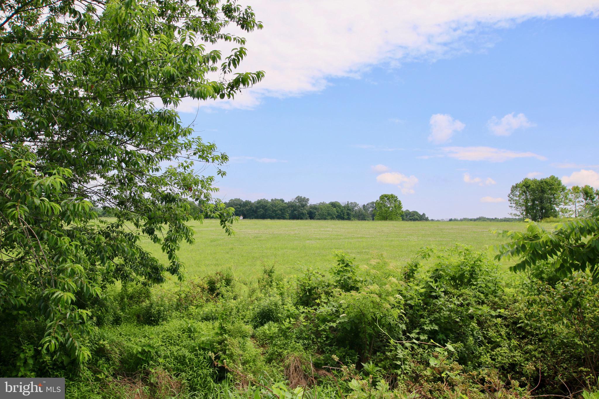 GRAND ESTATES AT SYCAMORE HOLLOW - Residential