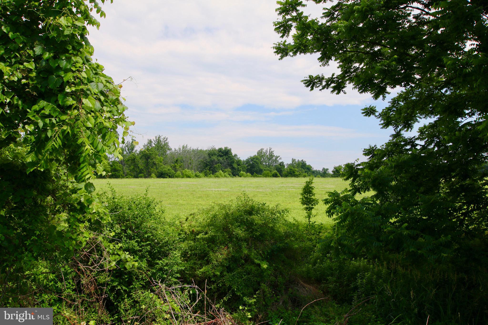 GRAND ESTATES AT SYCAMORE HOLLOW - Residential