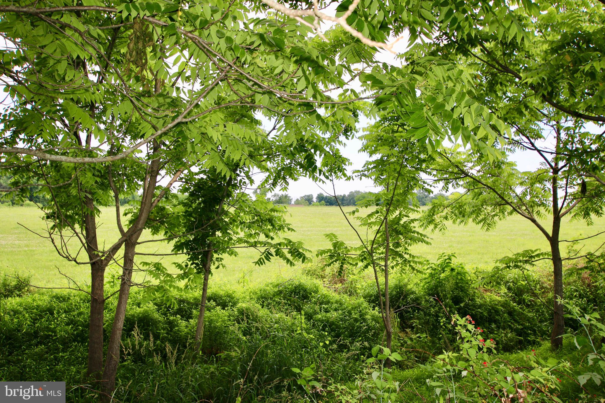 GRAND ESTATES AT SYCAMORE HOLLOW - Residential