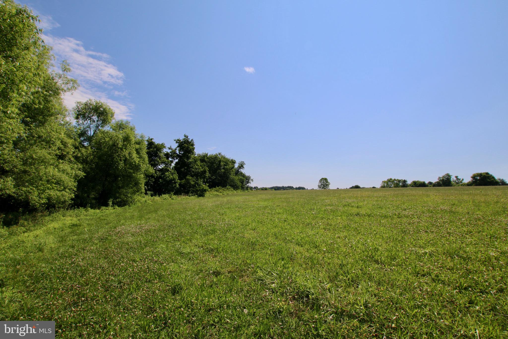 GRAND ESTATES AT SYCAMORE HOLLOW - Residential