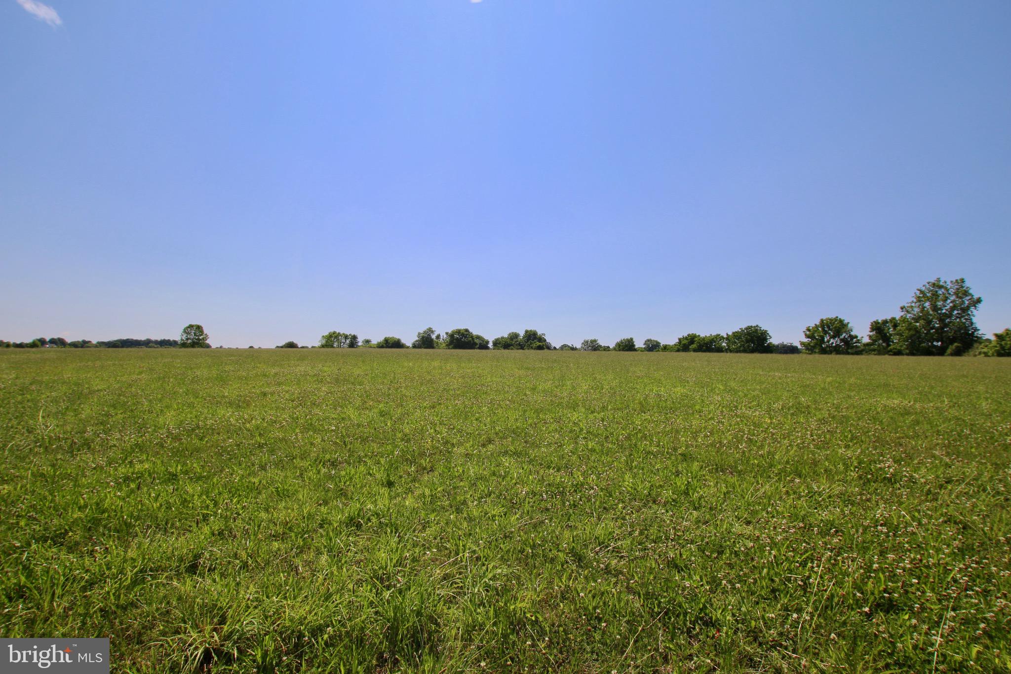 GRAND ESTATES AT SYCAMORE HOLLOW - Residential