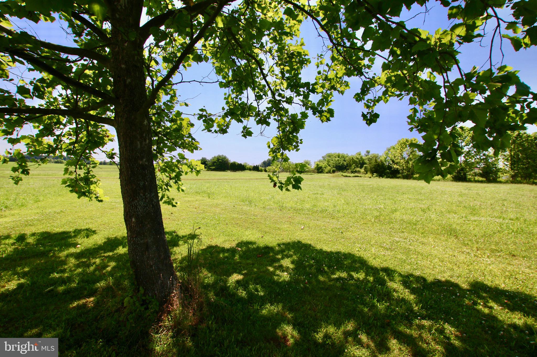 GRAND ESTATES AT SYCAMORE HOLLOW - Residential