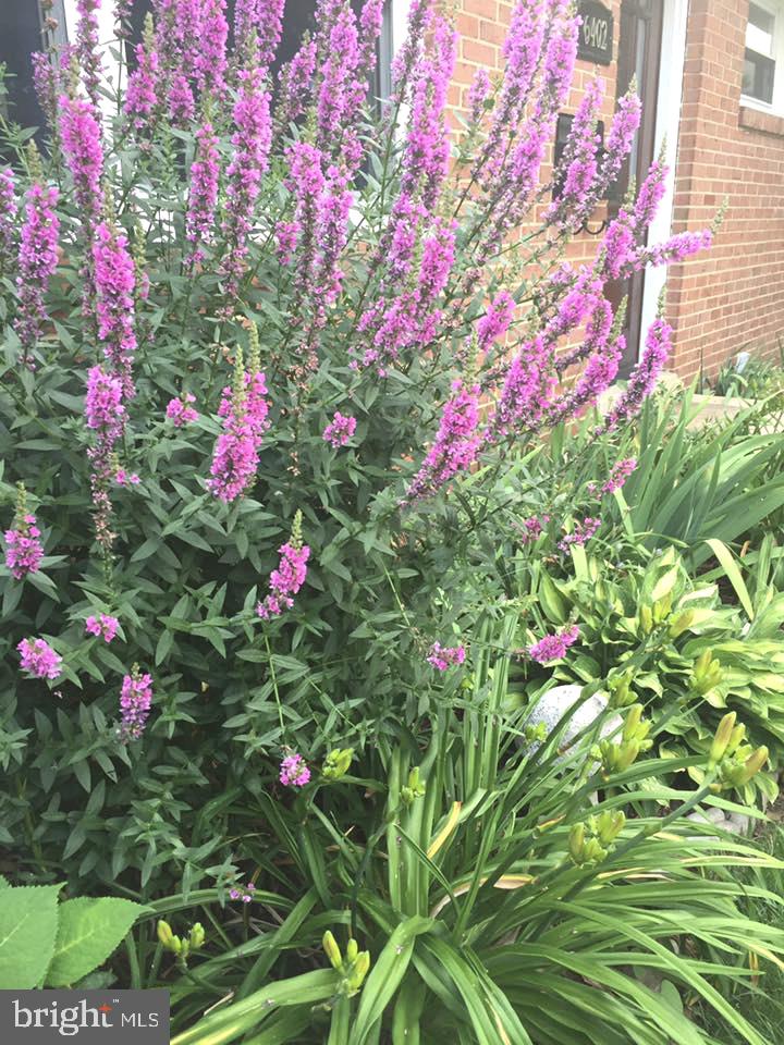 VIRGINIA HILLS - Residential Lease