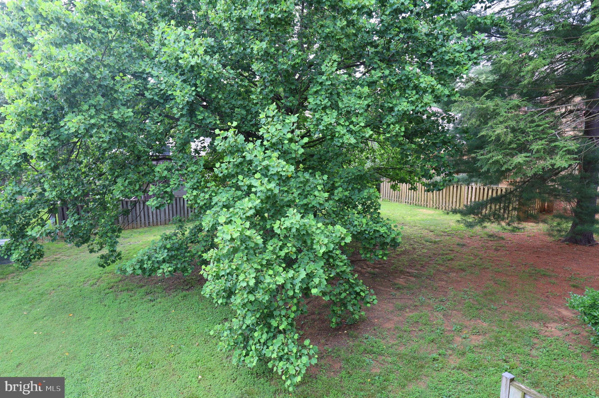 THE TIMBERS - Residential