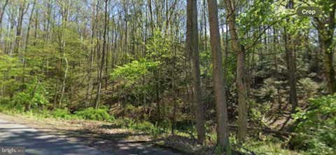 Vacant Land For Sale - Tallman Hollow Road<br/> Lycoming County, MONTOURSVILLE, PA 17754