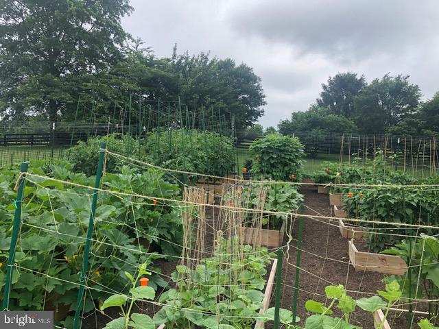 TREVOR HILL - Residential