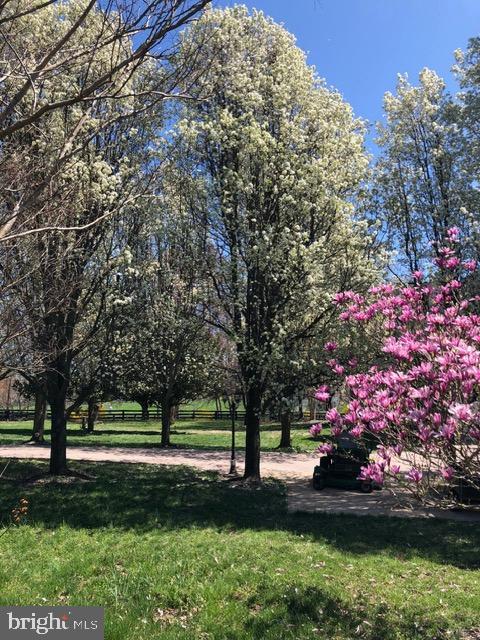 TREVOR HILL - Residential