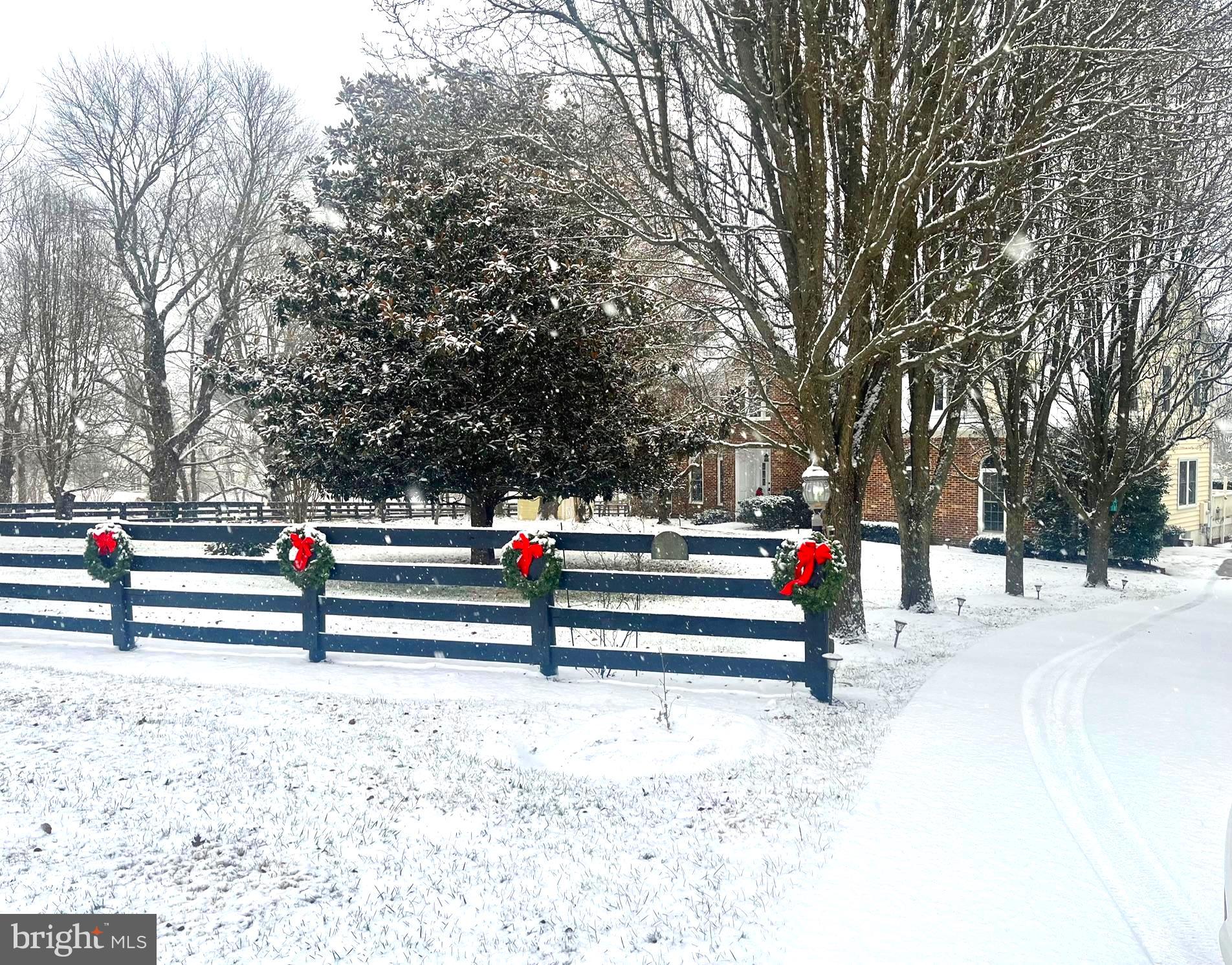 TREVOR HILL - Residential