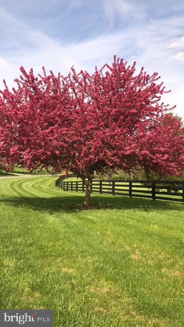 TREVOR HILL - Residential