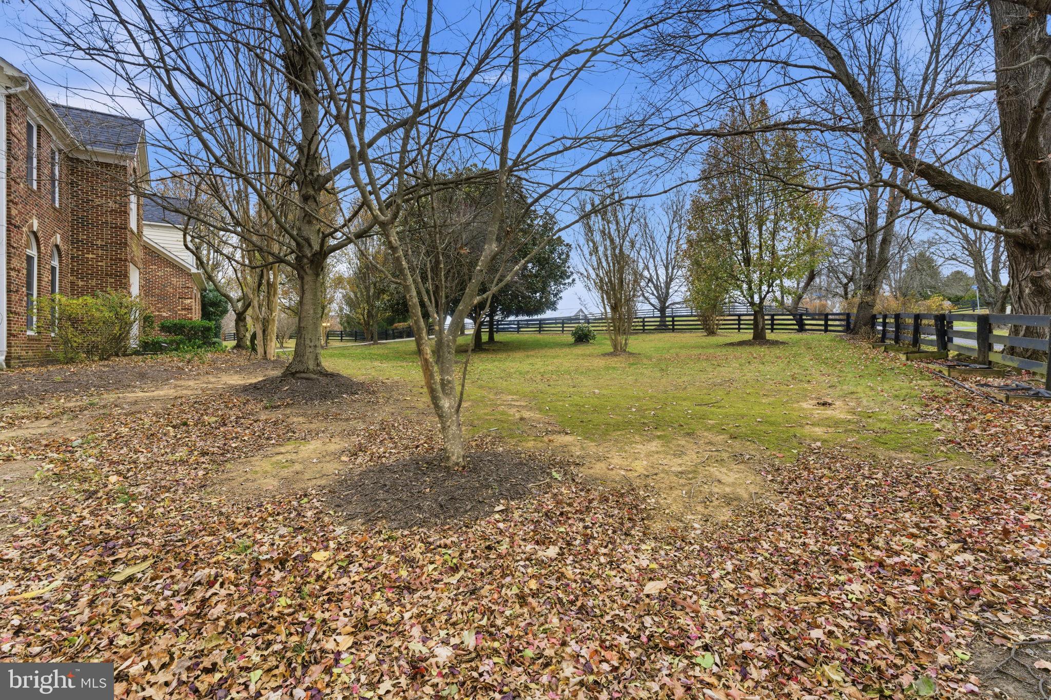 TREVOR HILL - Residential