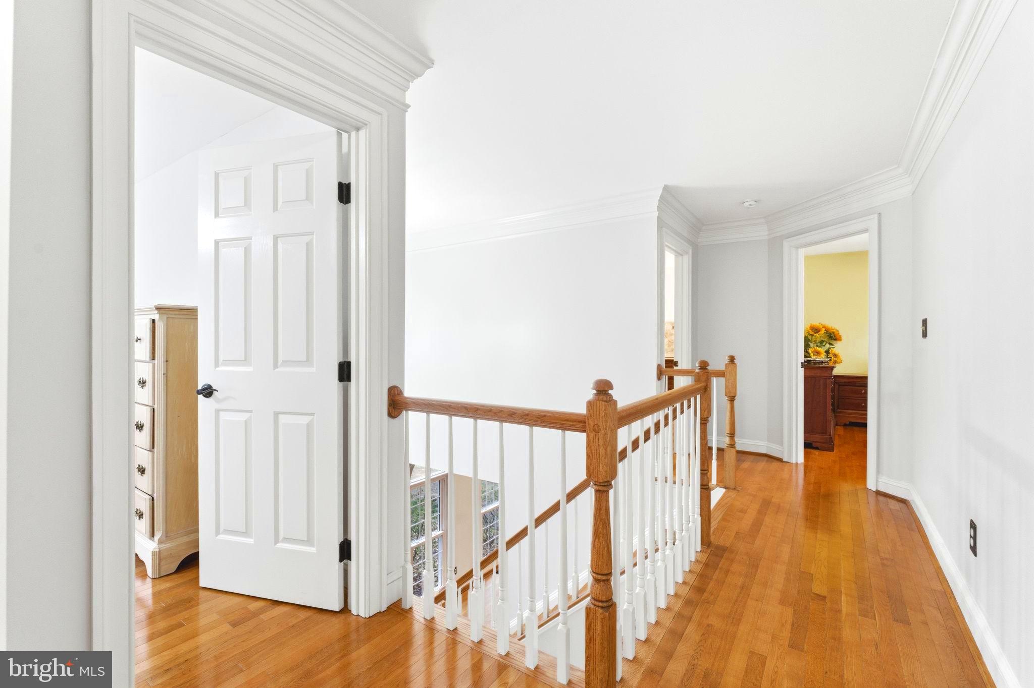 TREVOR HILL - Residential