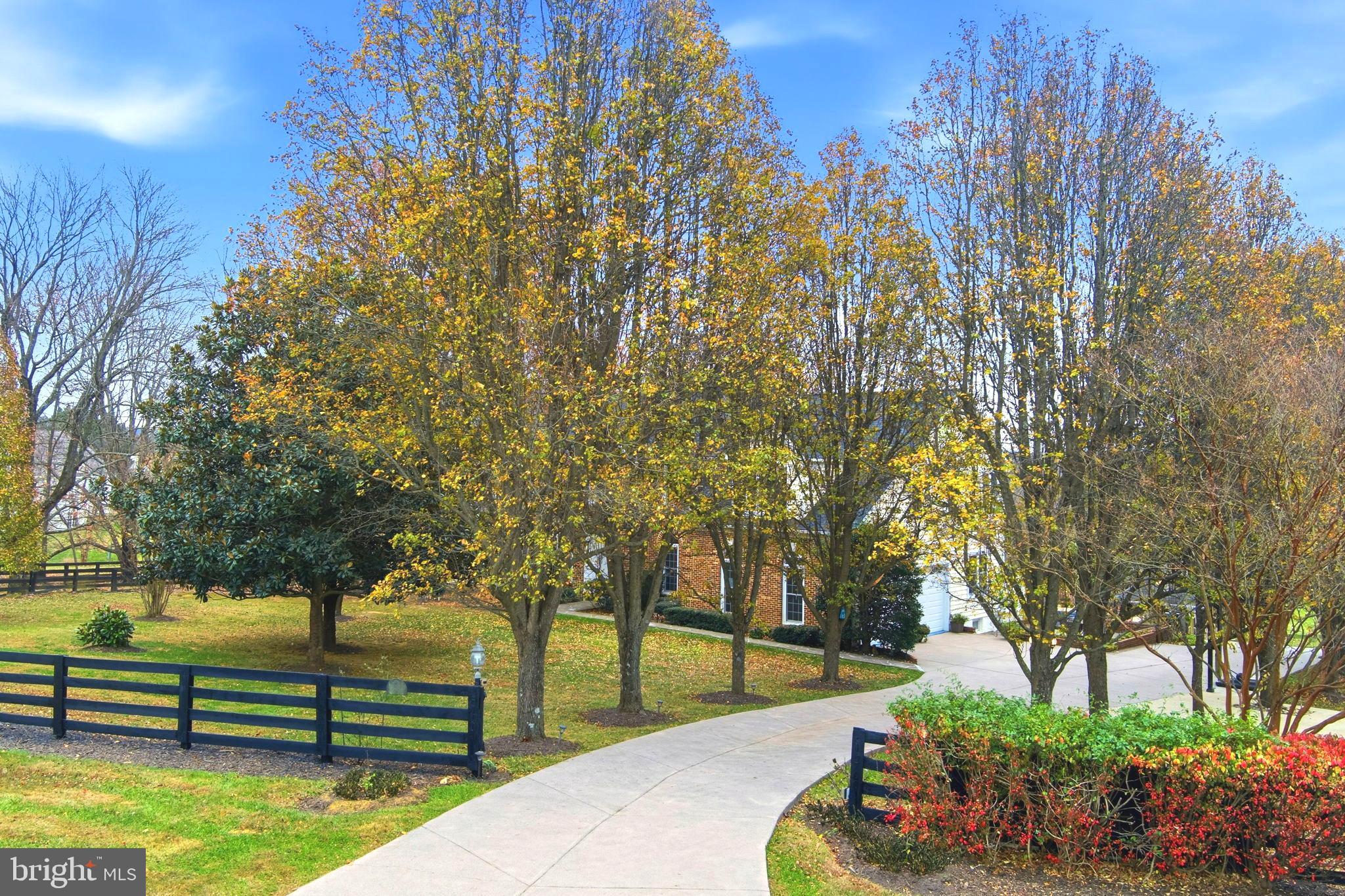 TREVOR HILL - Residential