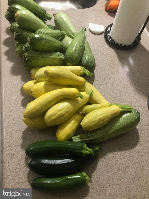 TREVOR HILL - Residential