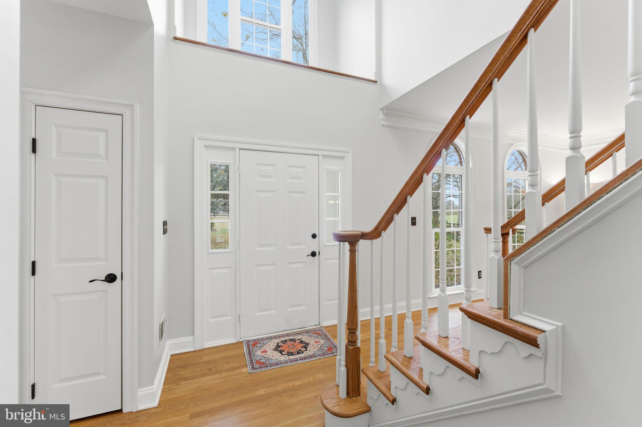 TREVOR HILL - Residential