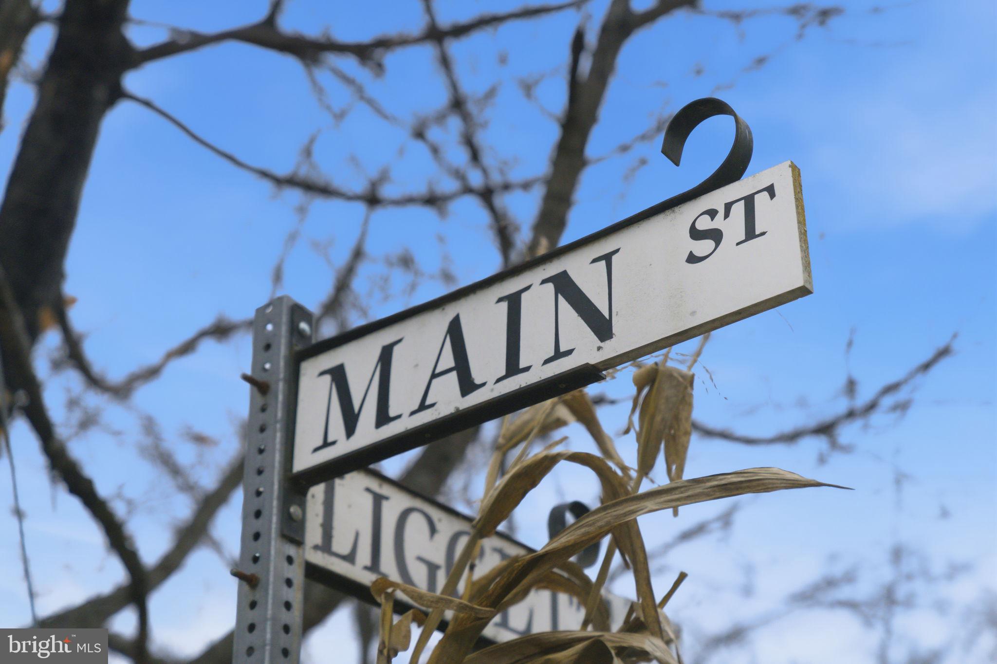 TREVOR HILL - Residential