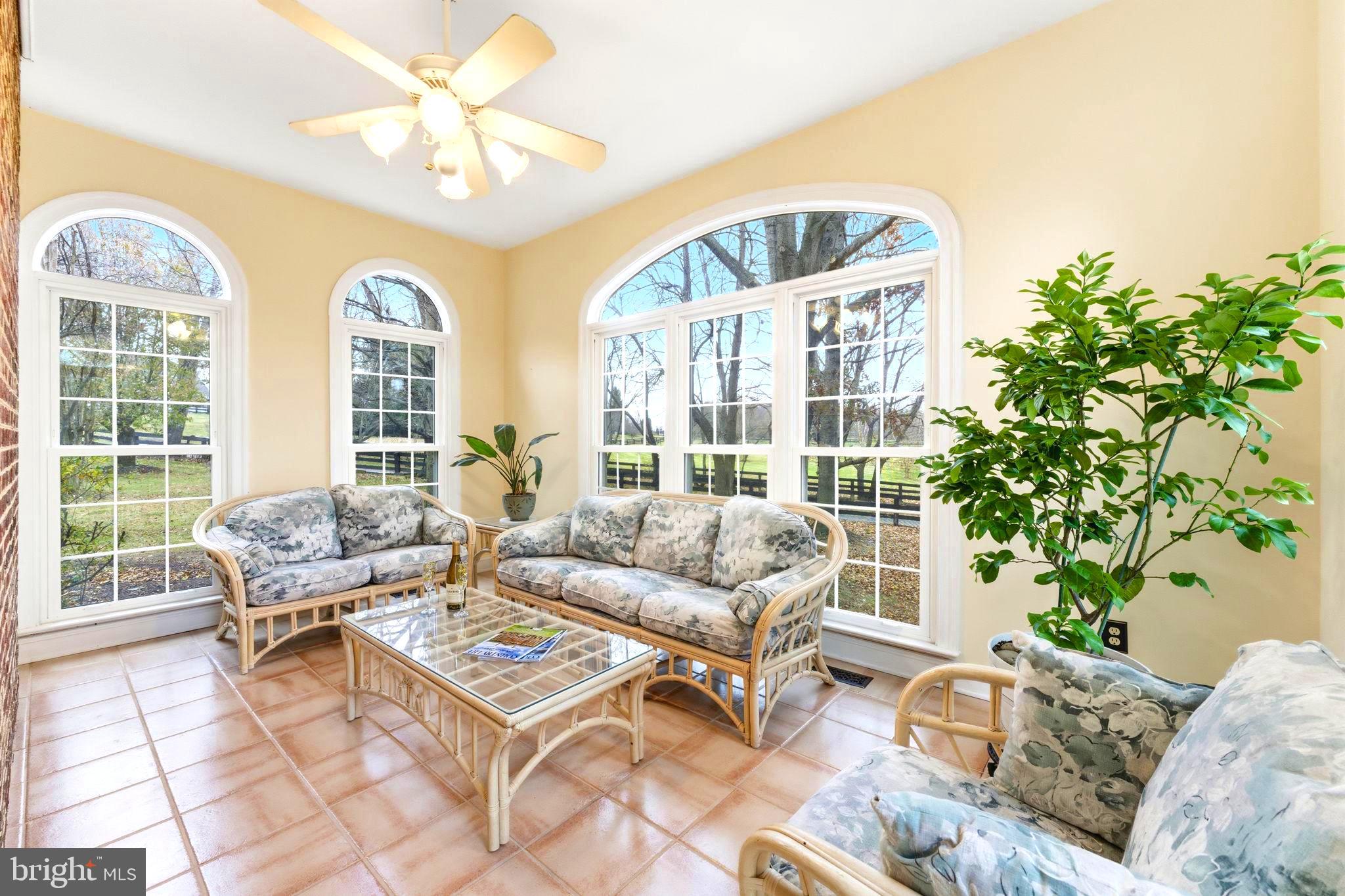 TREVOR HILL - Residential