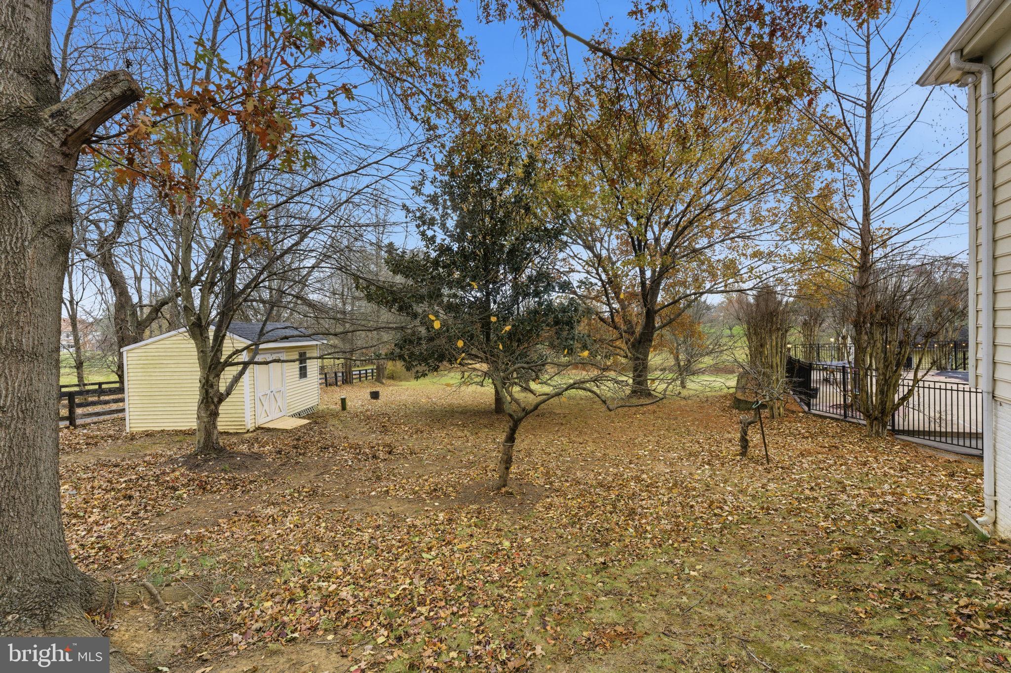 TREVOR HILL - Residential