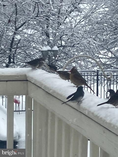 TREVOR HILL - Residential