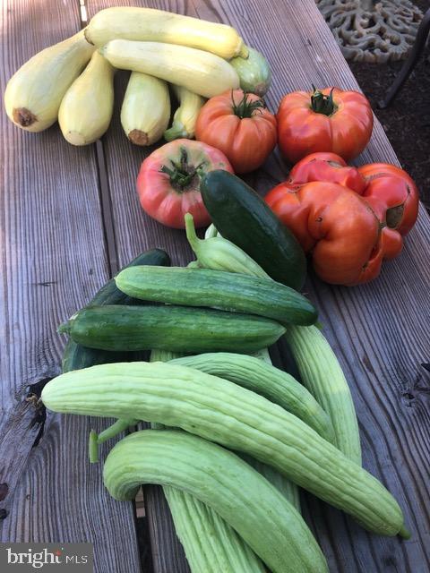 TREVOR HILL - Residential