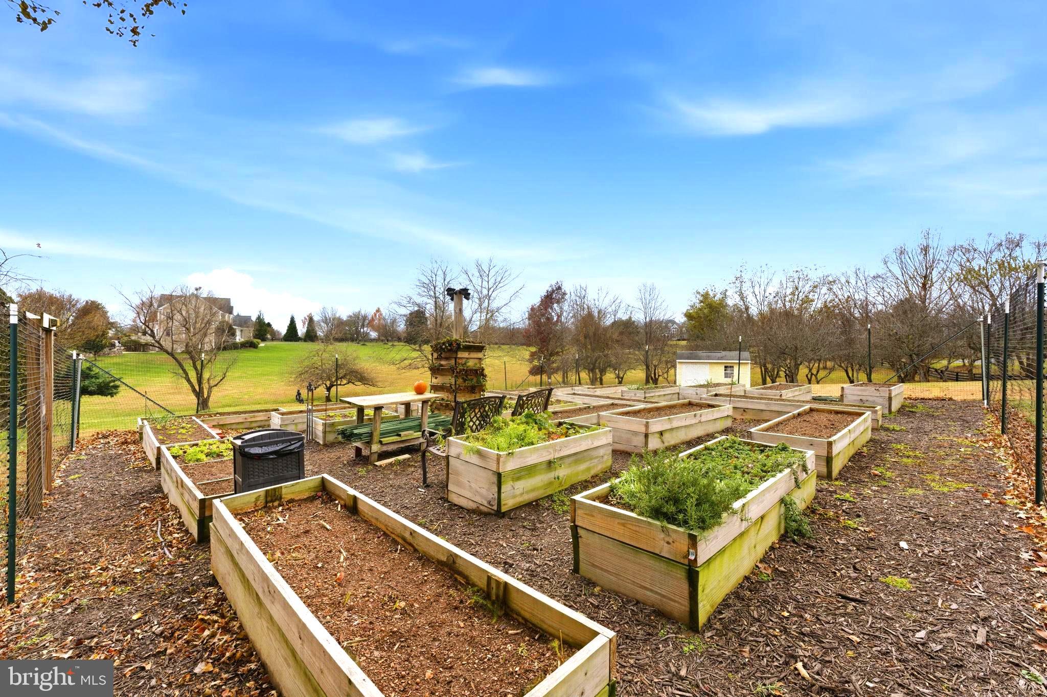 TREVOR HILL - Residential