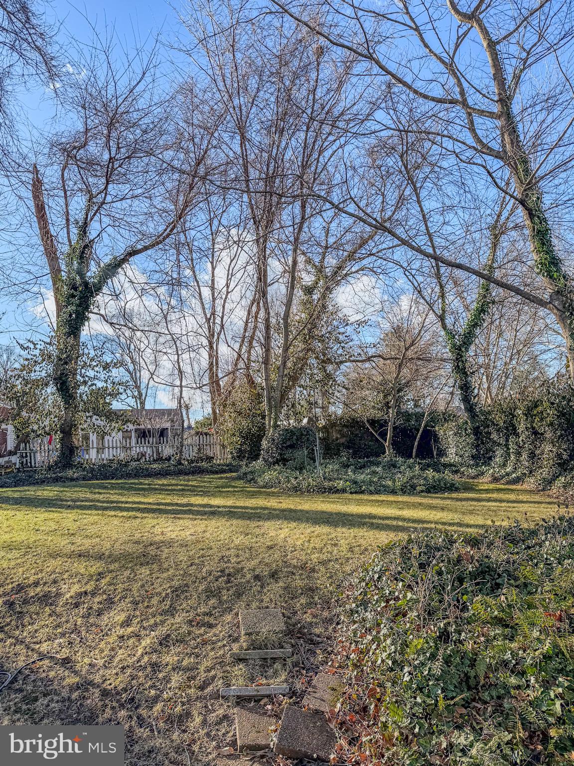 NORTH SPRINGFIELD - Residential