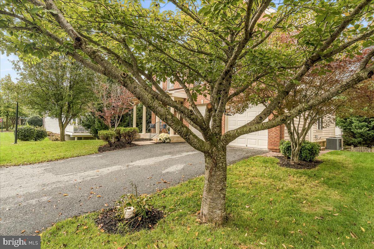 4000 BOWLING GREEN LANE