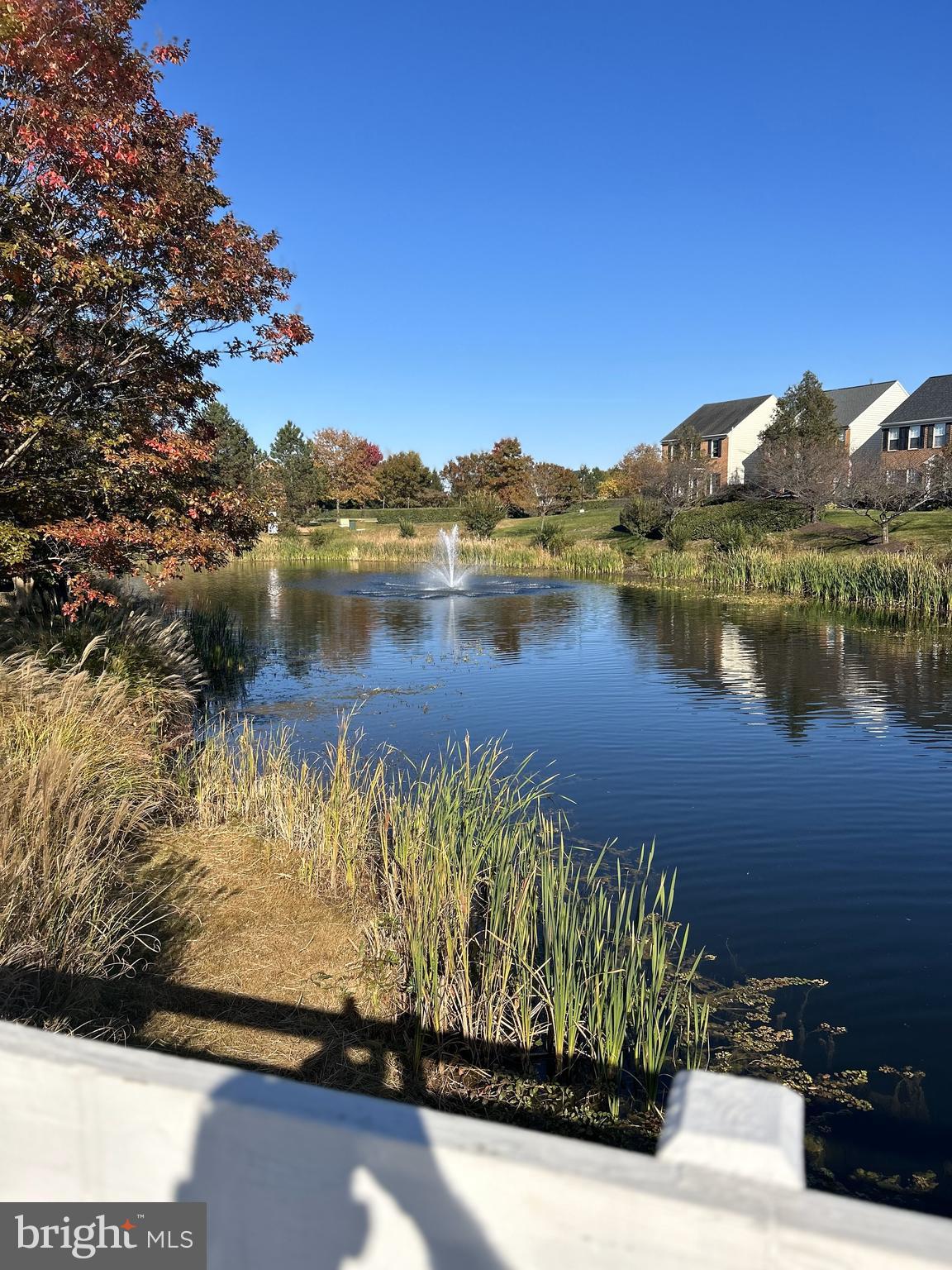 PARKS AT PIEDMONT - Residential