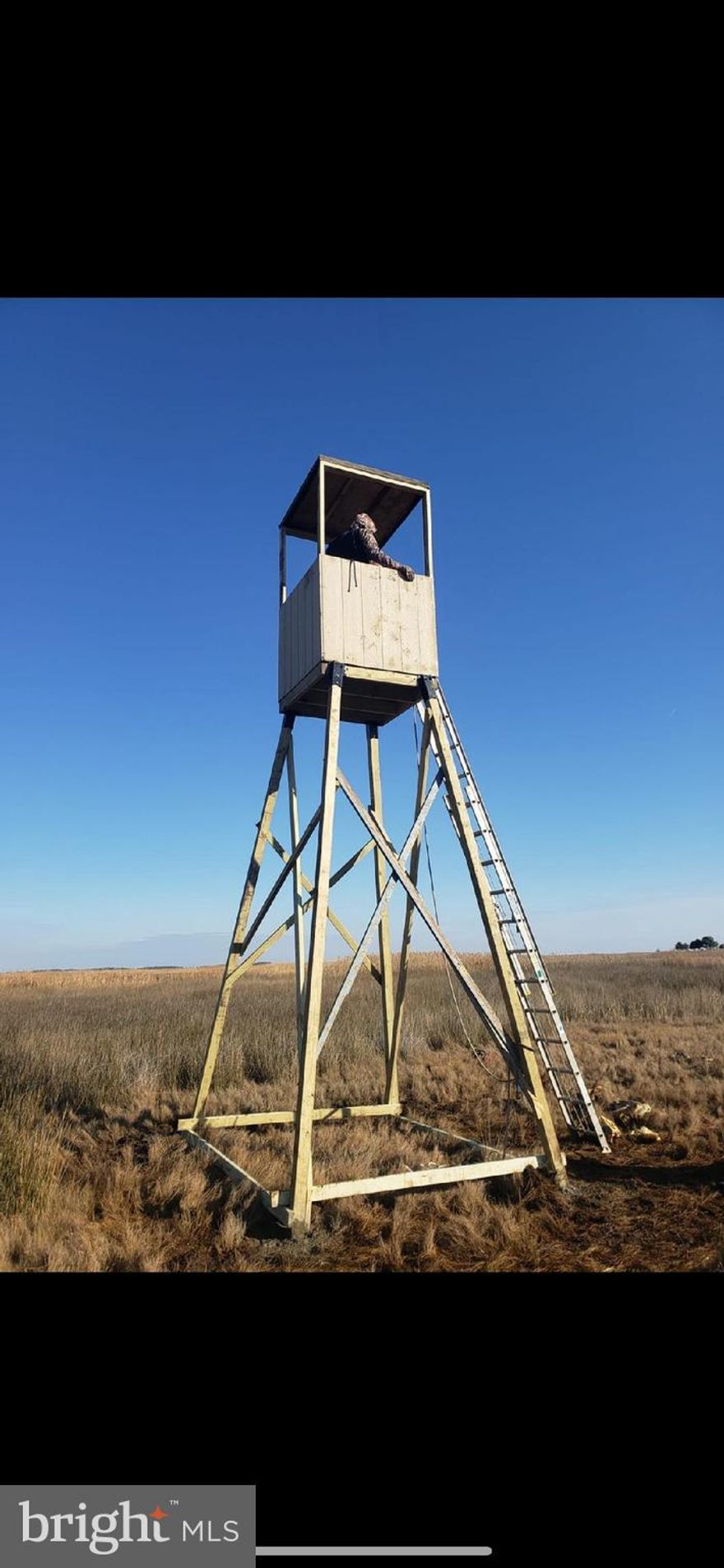 155 ACRES OF PRIME SIKA DEER AND DUCK HUNTING MARSH IN TODDVILLE MD! THIS PROPERTY IS BOAT ACCESS ONLY AND PRICED TO SELL.