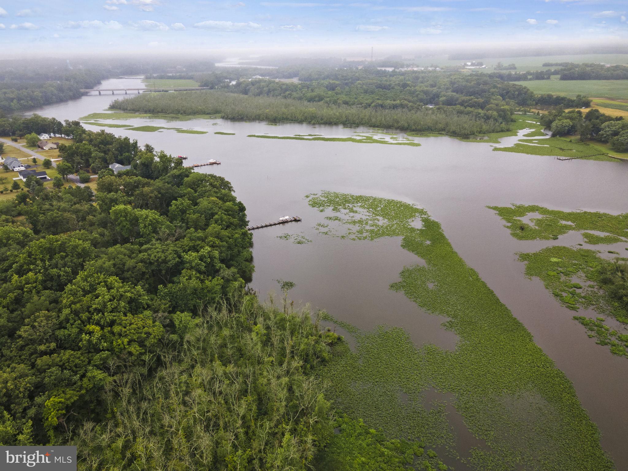 COLLINS POINT - Residential