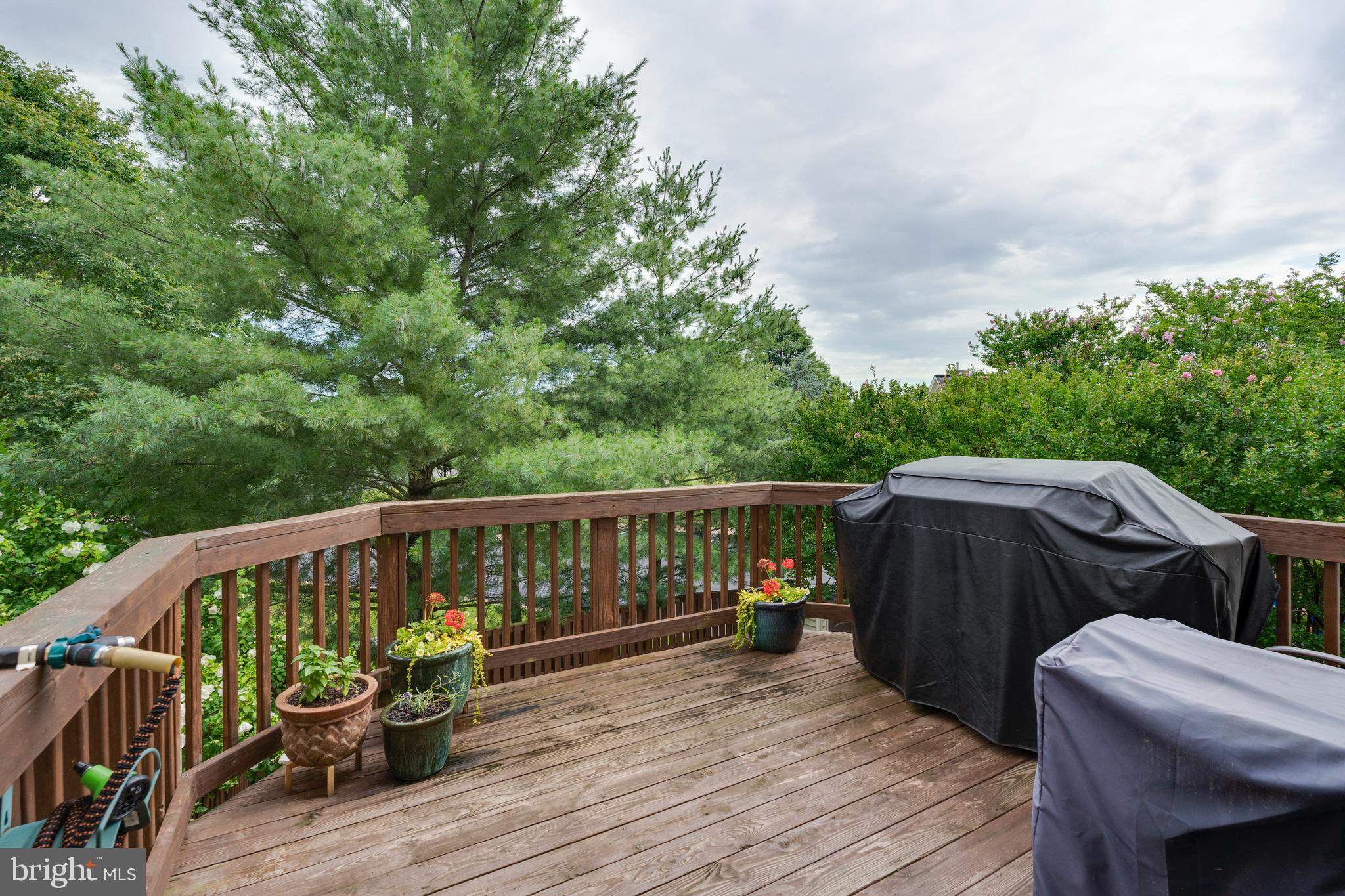 SHEFFIELD MANOR - Residential