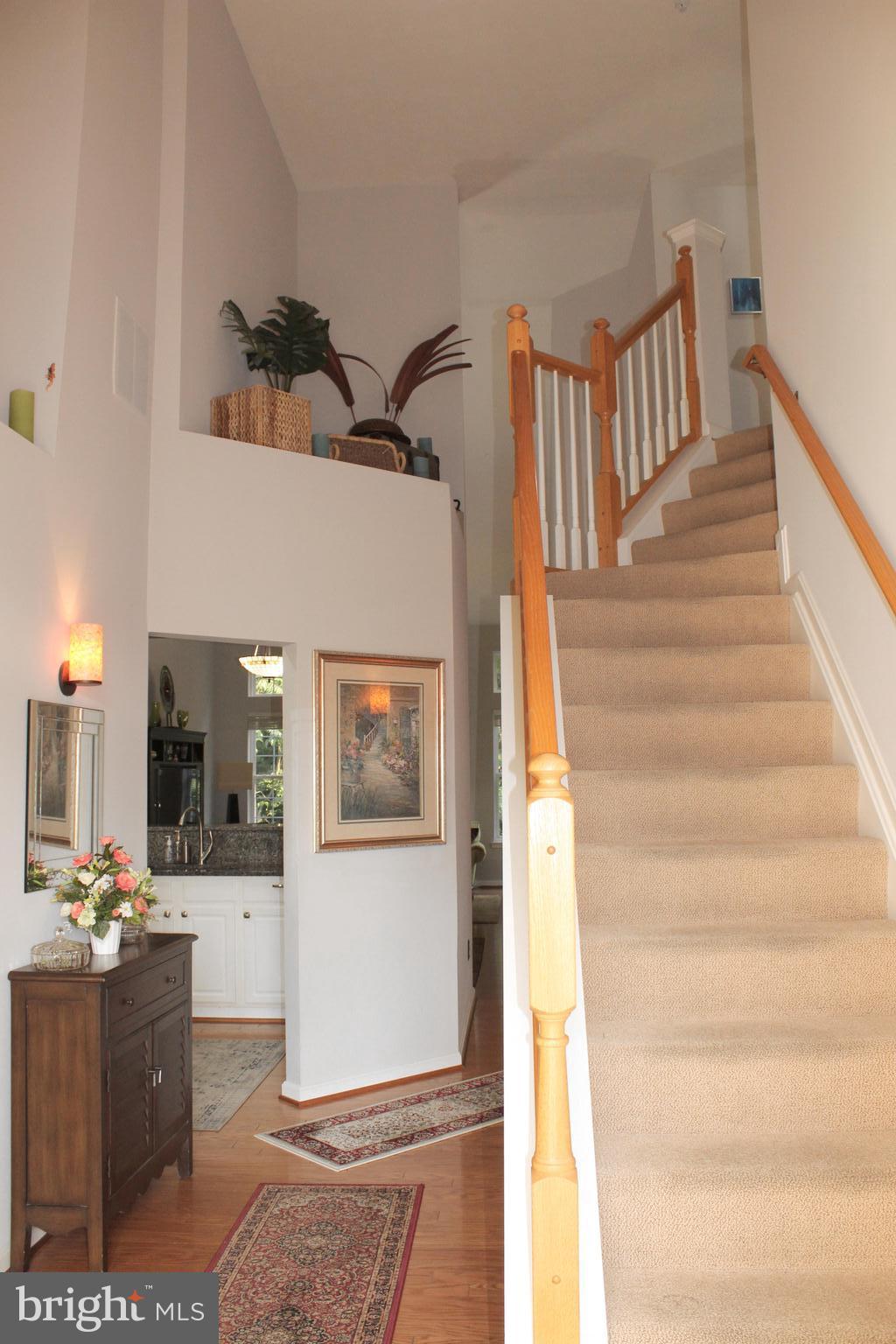 FURNACE HILLS - Residential