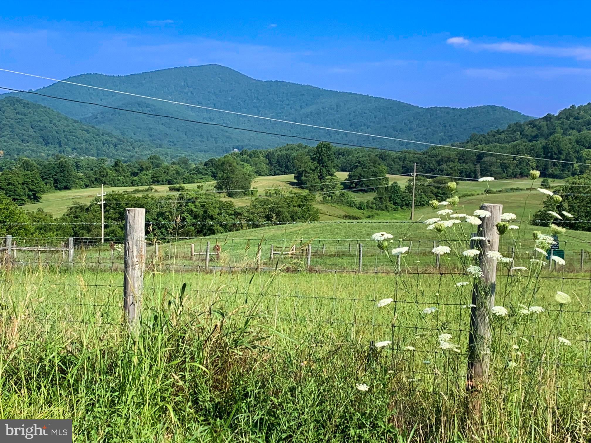 WASHINGTON VIRGINIA - Residential