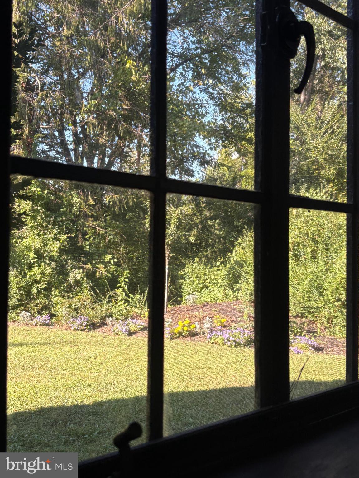 WASHINGTON VIRGINIA - Residential