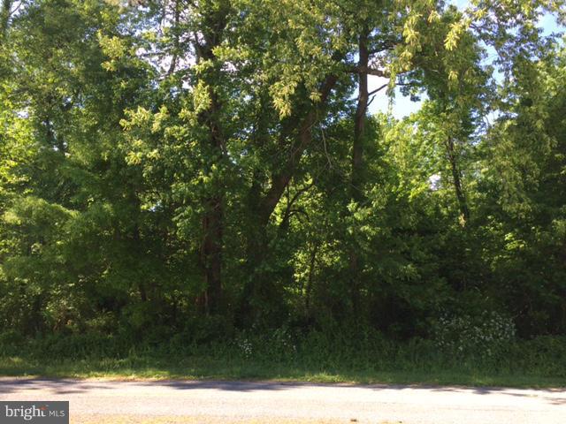 SPRING COVE GARDENS - Land