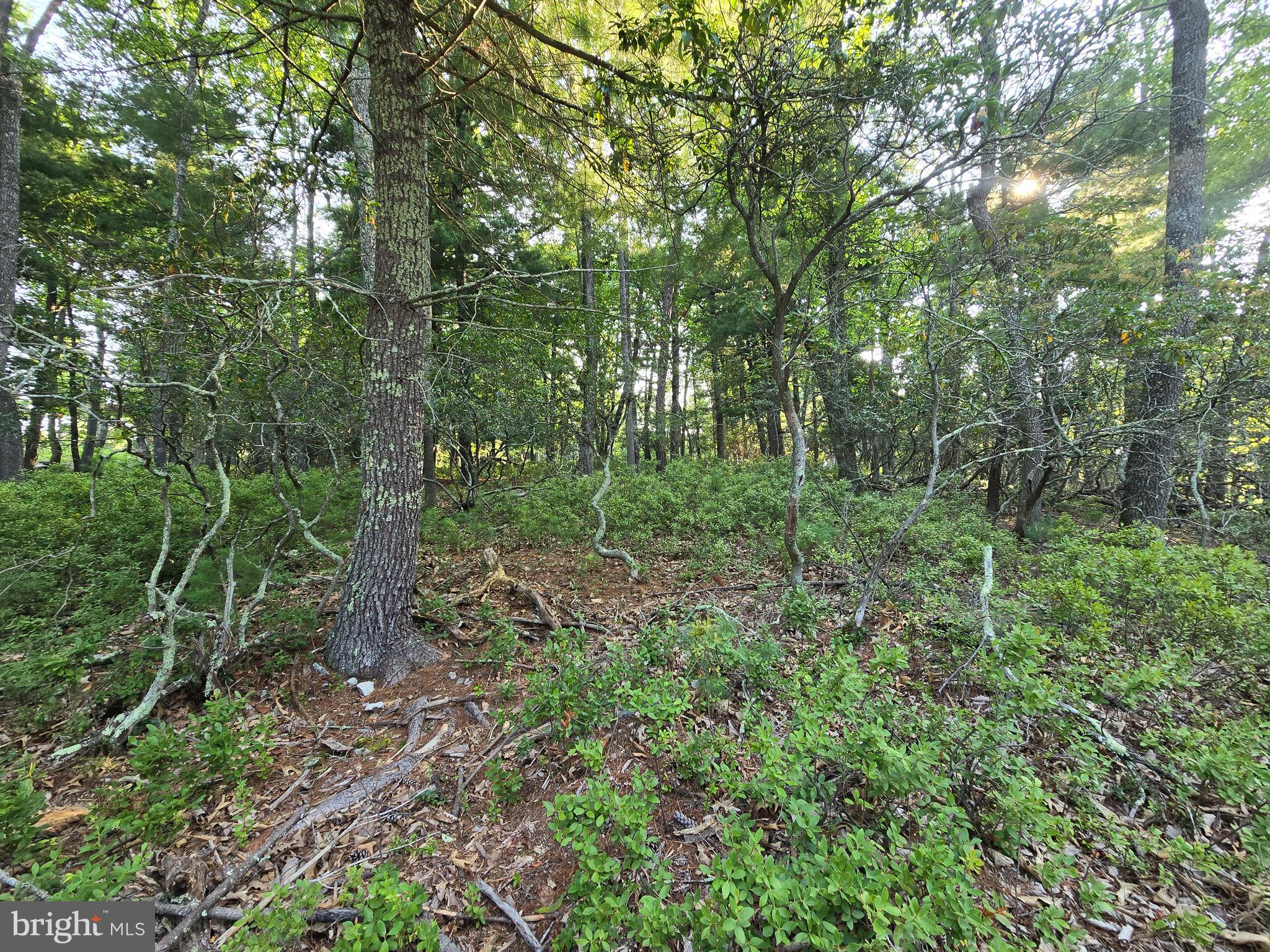Lot # 9 HIGHLAND RIDGE