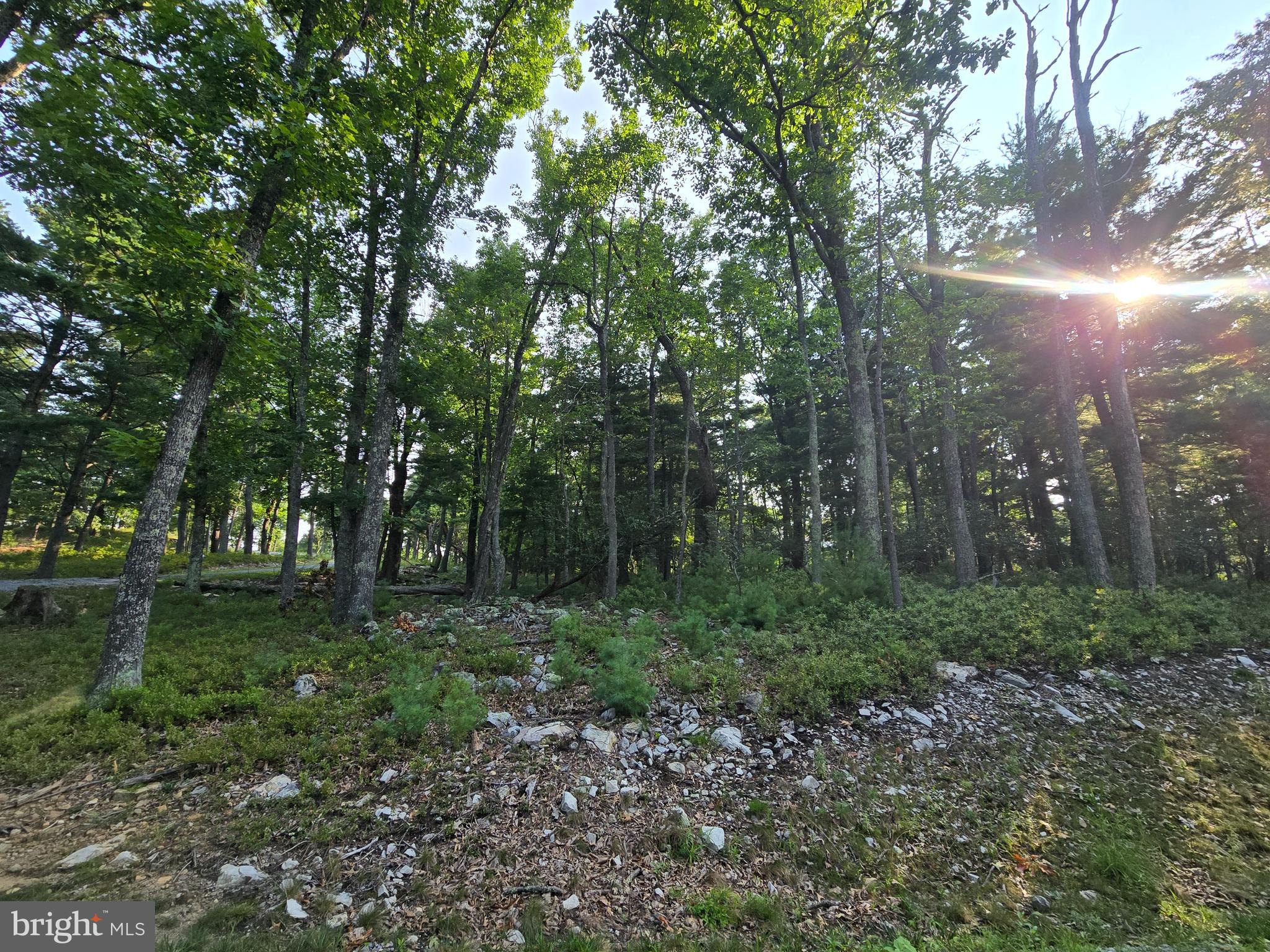Lot # 9 HIGHLAND RIDGE