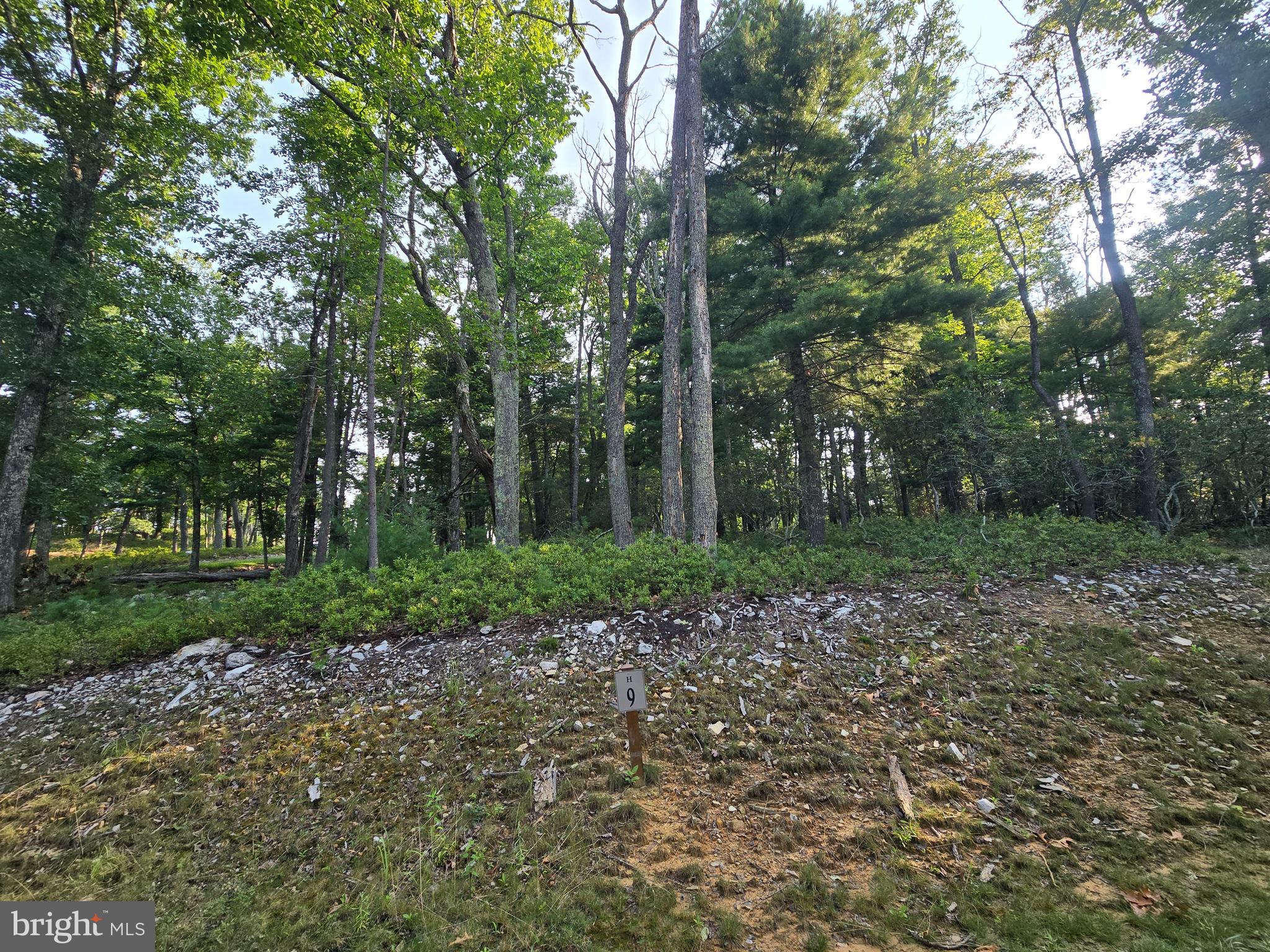 Lot # 9 HIGHLAND RIDGE