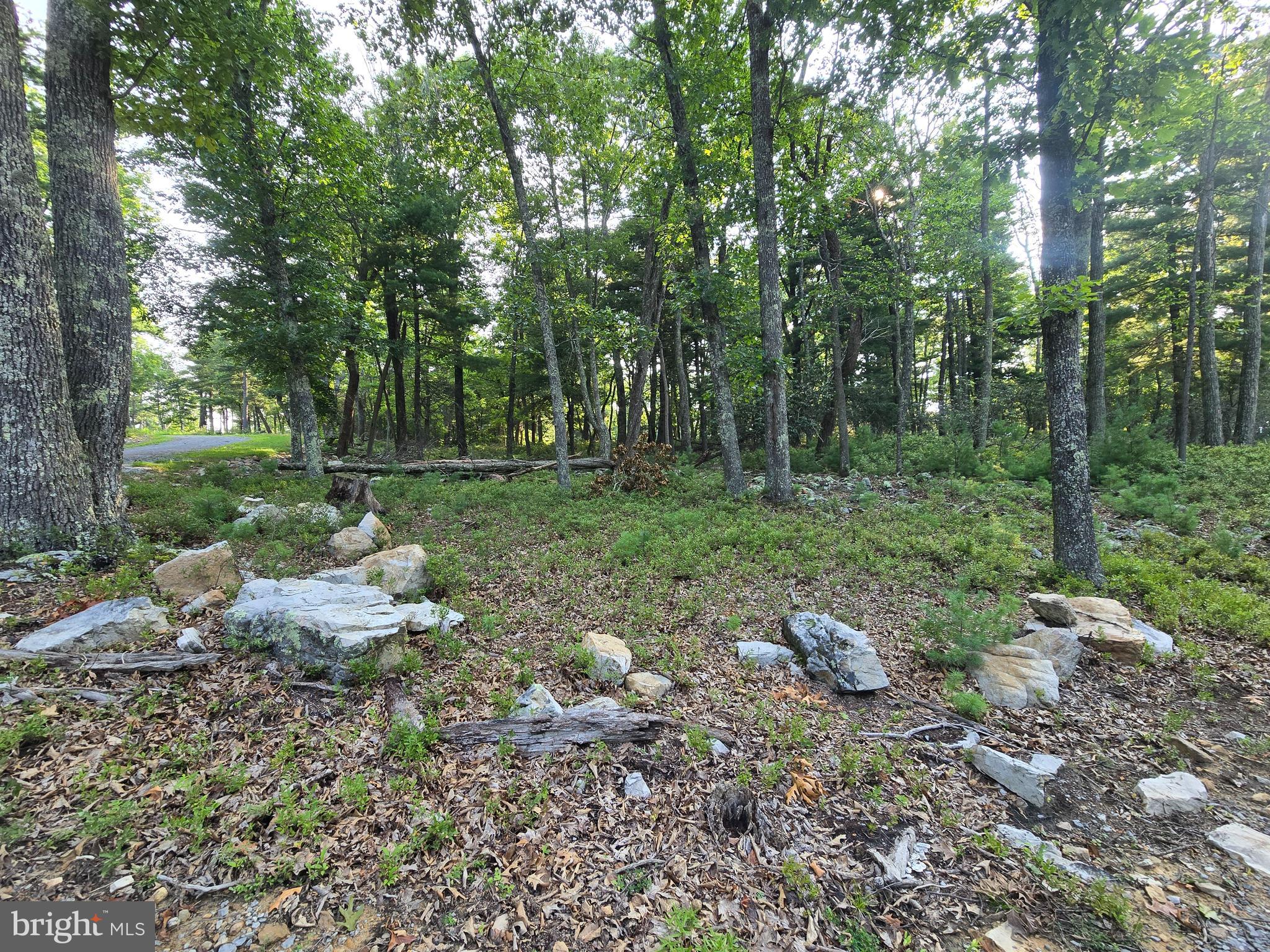 Lot # 9 HIGHLAND RIDGE