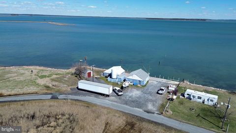 1620 STEAMBOAT WHARF FISHING CREEK MD 21634