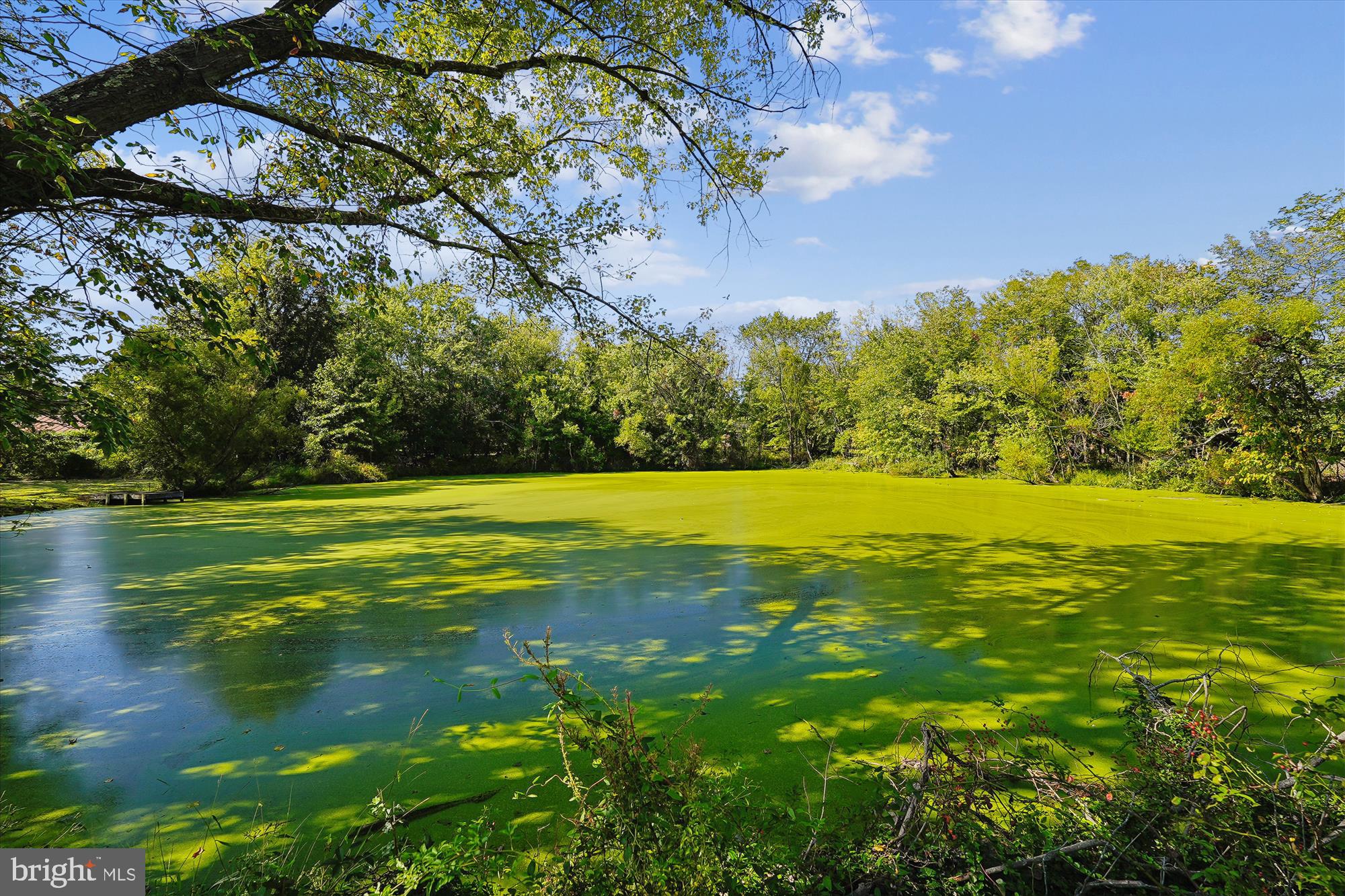 TOWN OF LOVETTSVILLE - Residential
