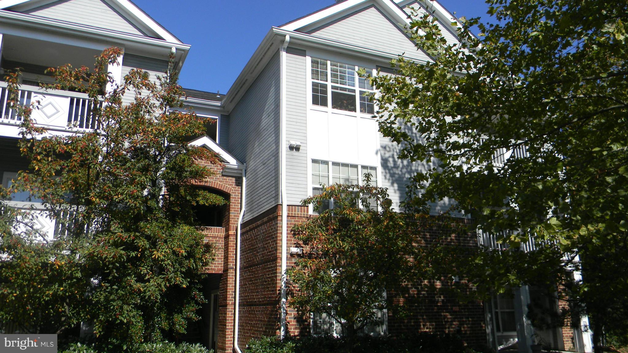 SOUTH GLEN - Residential Lease