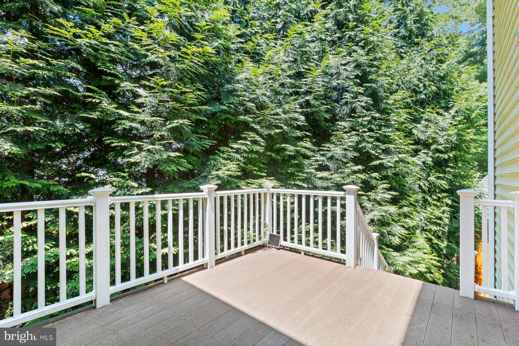 CARTER HILL - Residential