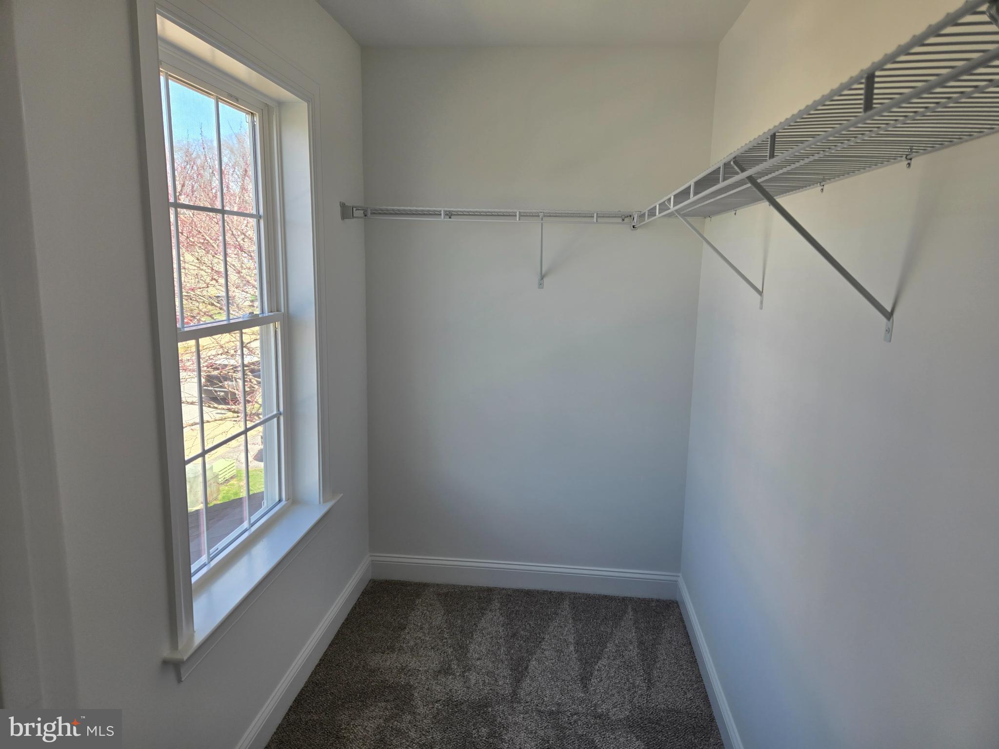 HICKORY HOLLOW - Residential