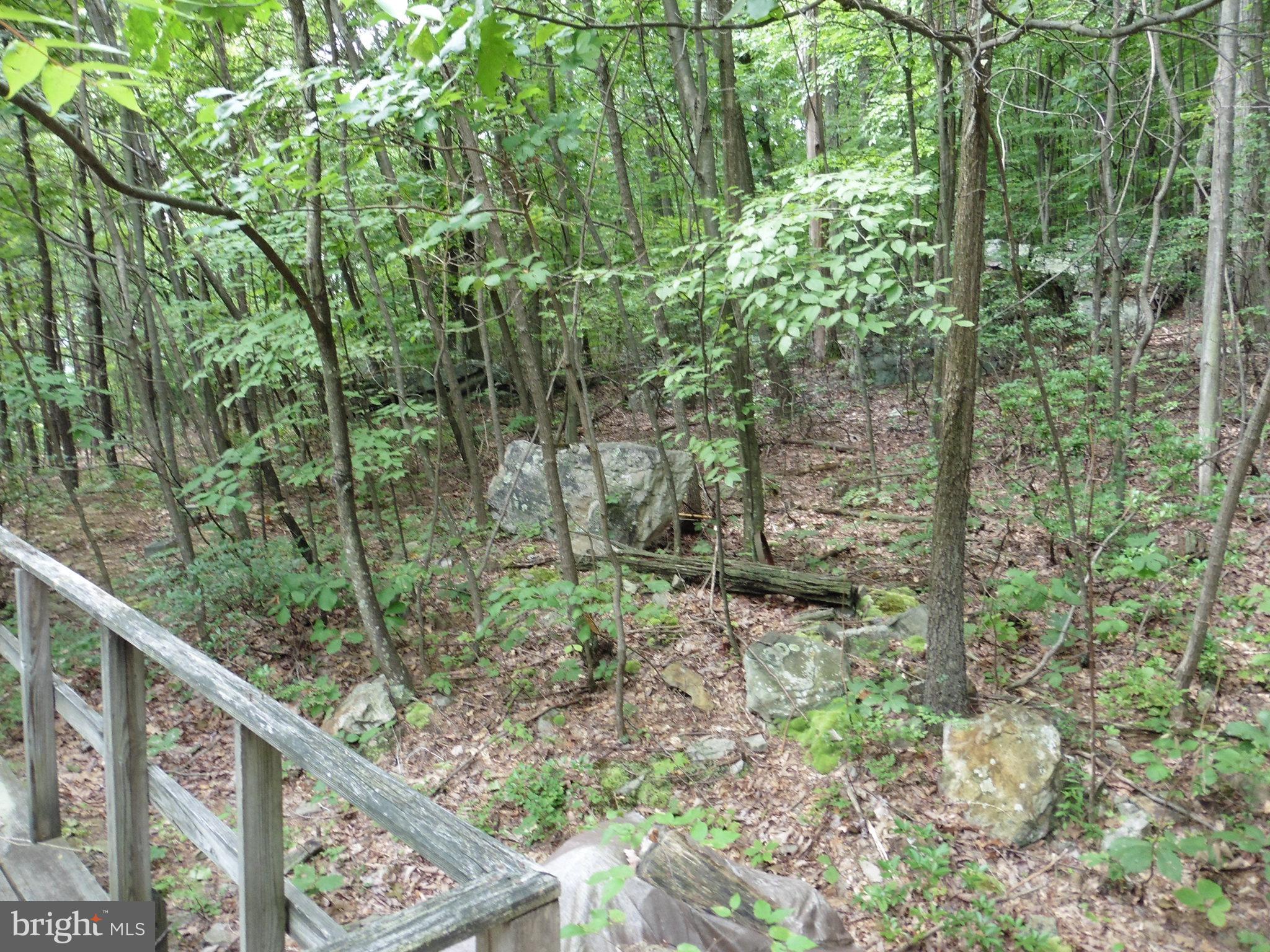 SPRUCE PINE HOLLOW - Residential