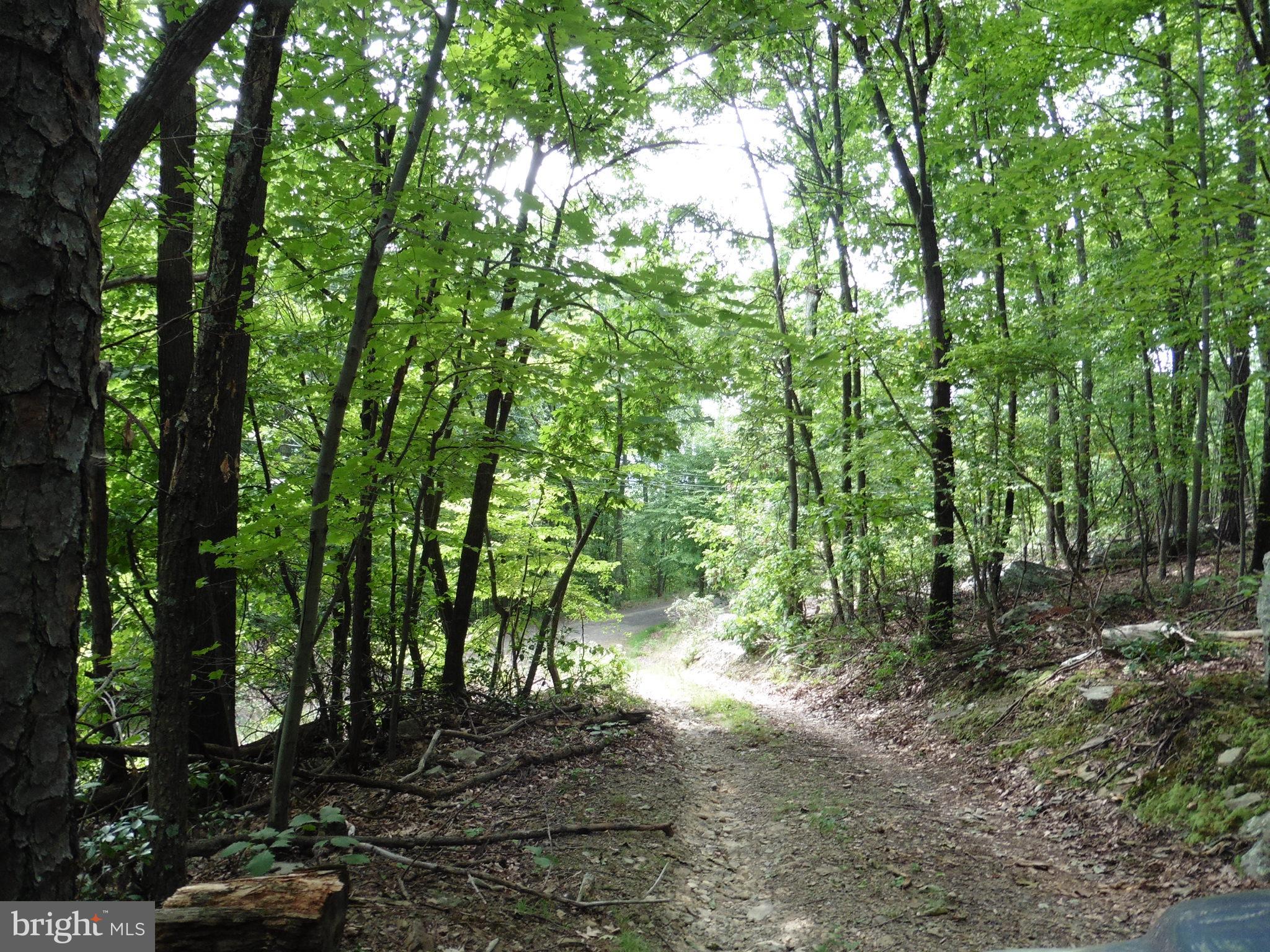 SPRUCE PINE HOLLOW - Residential