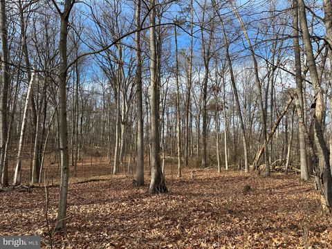 Vacant Land For Sale - Nestle Quarry<br/> FALLING WATERS, WV 25419