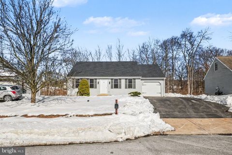 27 HOMESTEAD DRIVE DENVER PA 17517