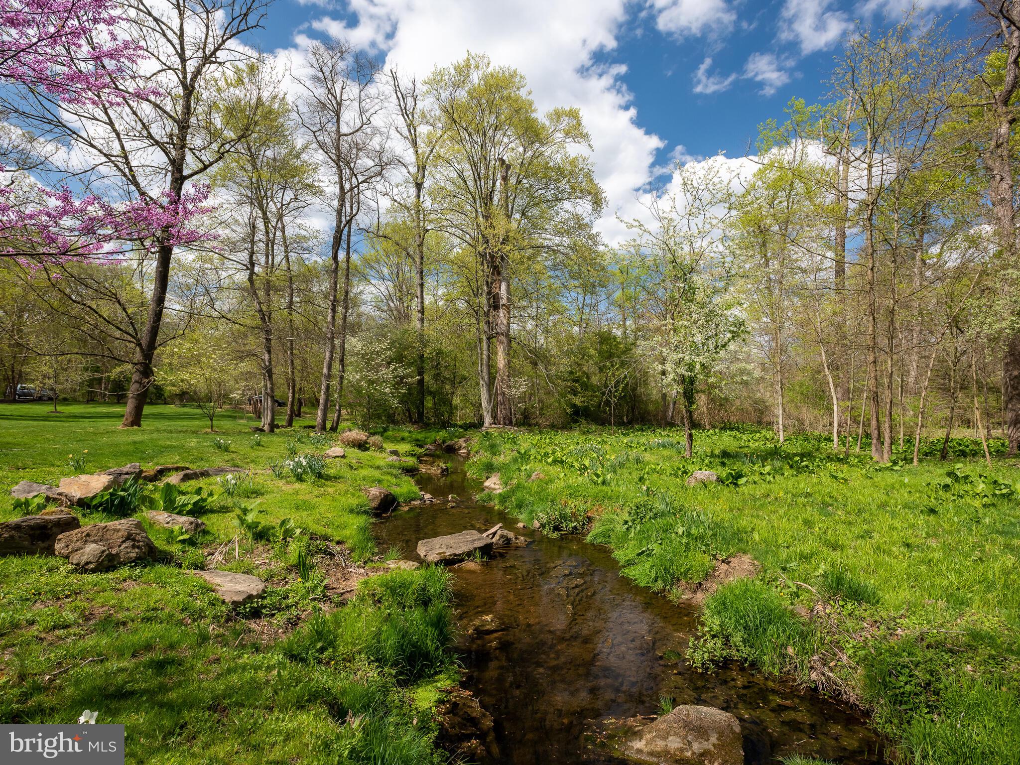 RADNOR HUNT - Residential