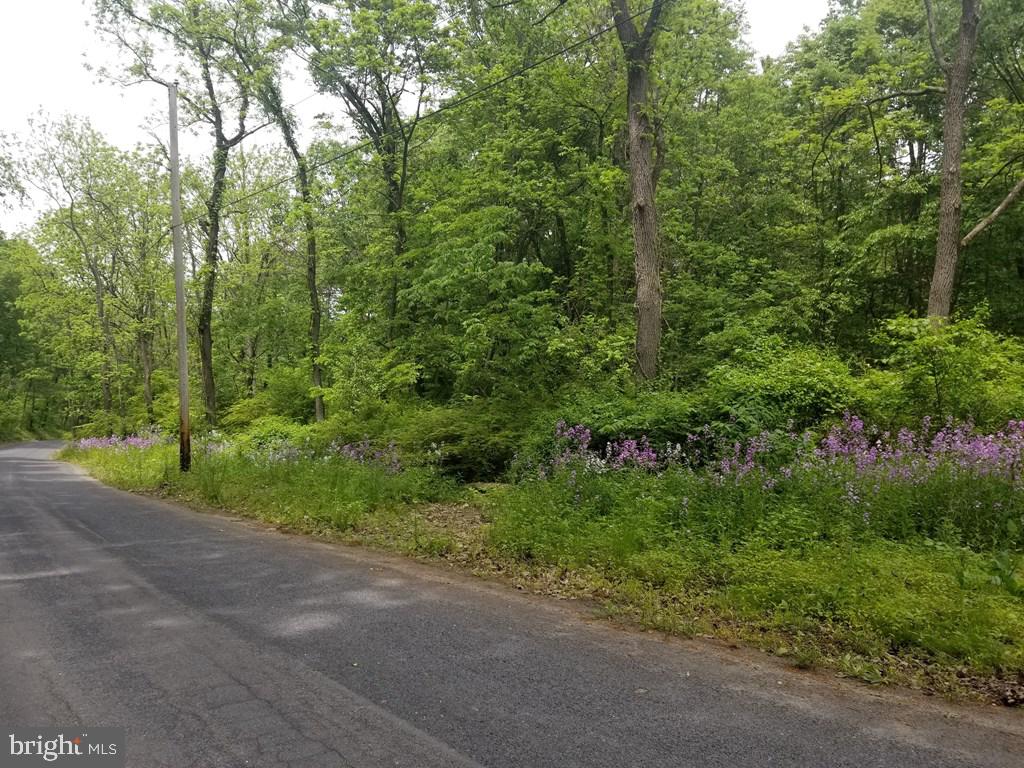 NONE AVAILABLE - Land